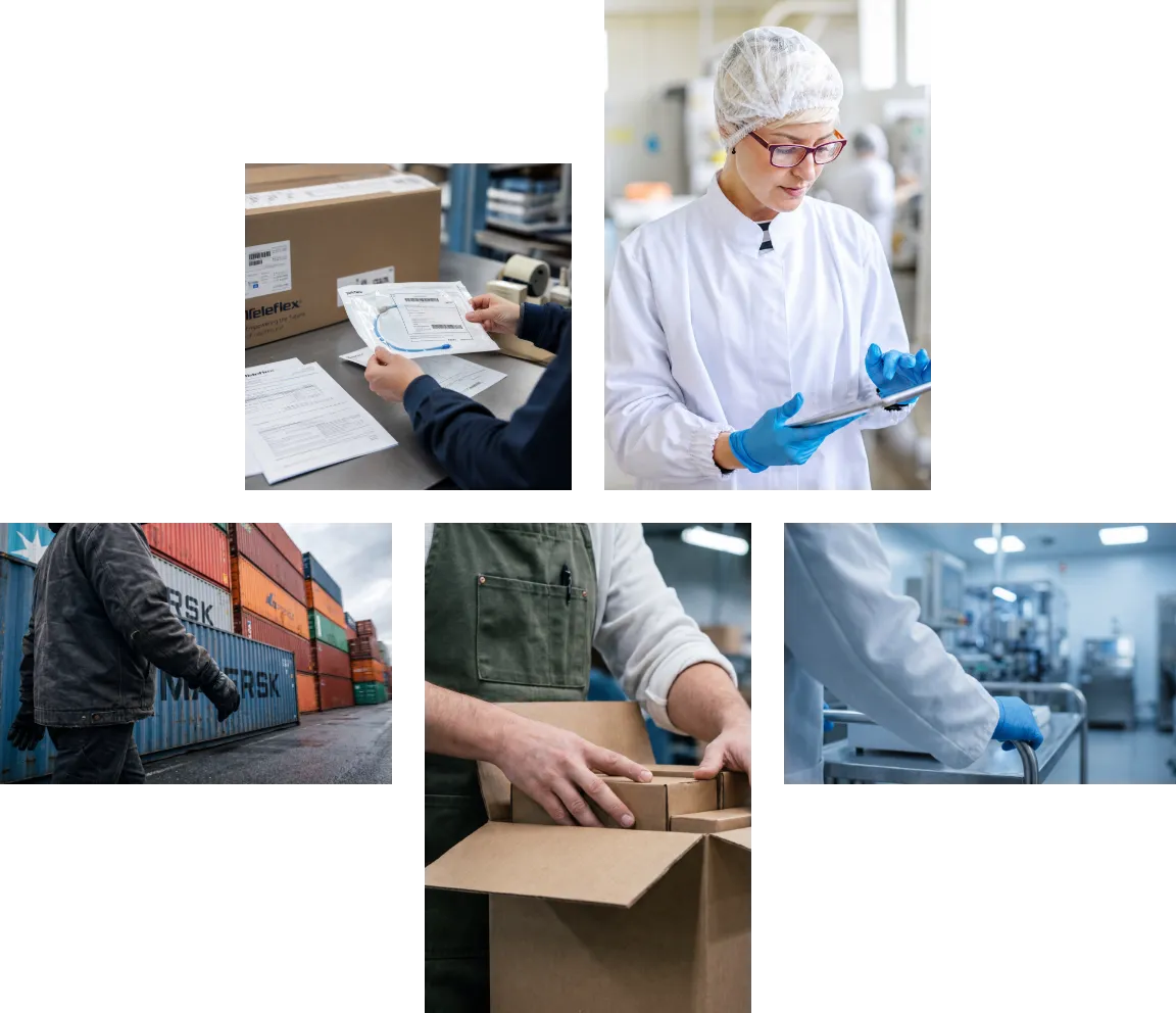 Composizione di scatti dal lavoro quotidiano di IDS: controllo documenti, laboratorio, magazzino, imballo e spedizione
